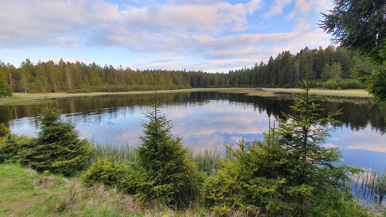 Hotel Jakec Trije Kralji Na Pohorju Zgornja Loznica Esterno foto